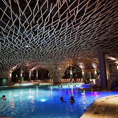 Amy بوتْشيترتيك