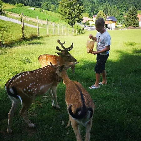 Lägenhet Amy