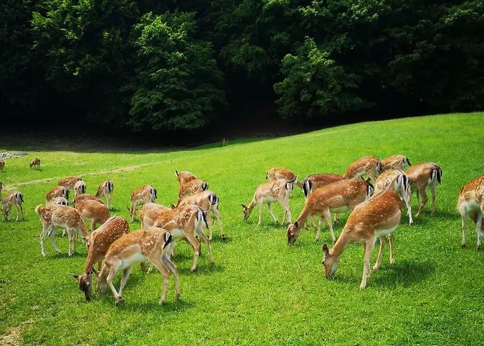 Appartement Amy Podčetrtek